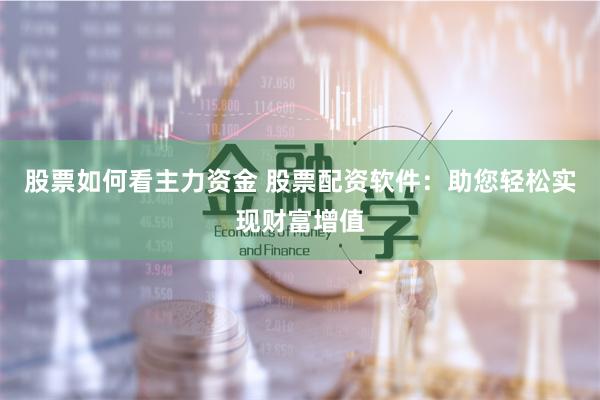 股票如何看主力资金 股票配资软件：助您轻松实现财富增值