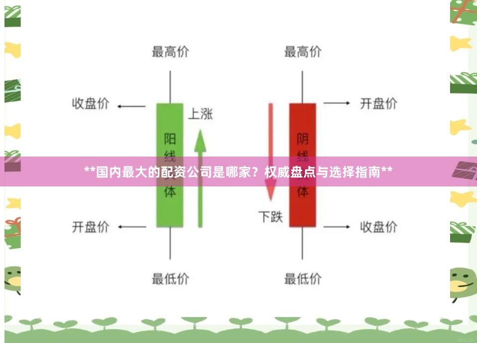 **国内最大的配资公司是哪家？权威盘点与选择指南**